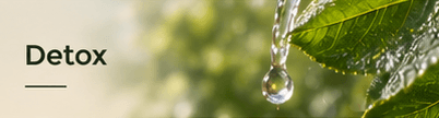 ajuda para detox terra flor
