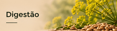 ajuda para digestao terra flor