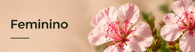 ajuda para feminino terra flor