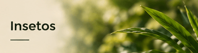 ajuda para insetos terra flor
