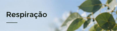ajuda para respiracao terra flor